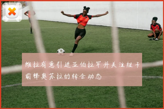 维拉有意引进亚伯拉罕并关注纽卡前锋奥苏拉的转会动态