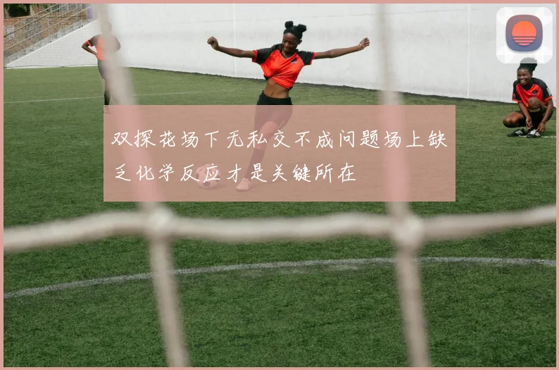 双探花场下无私交不成问题场上缺乏化学反应才是关键所在