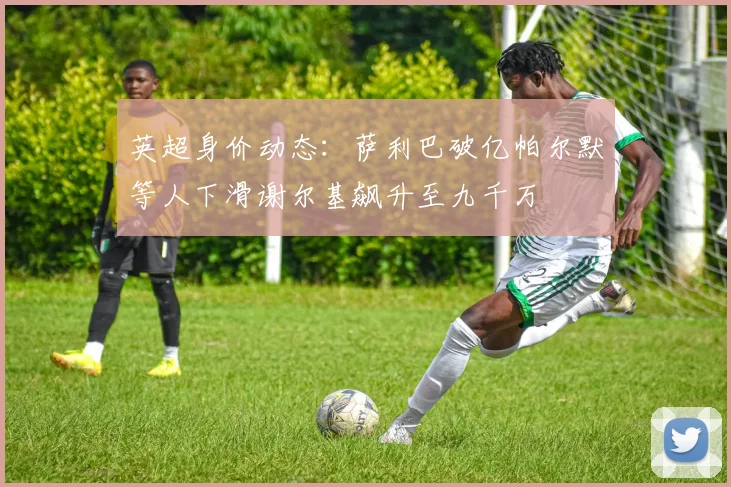 英超身价动态：萨利巴破亿帕尔默等人下滑谢尔基飙升至九千万